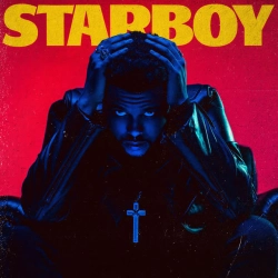 Обложка Stargirl Interlude