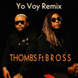 Обкладинка пісні Yo Voy (Remix), Thombs & B R O S S