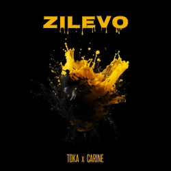 Обложка Zilevo
