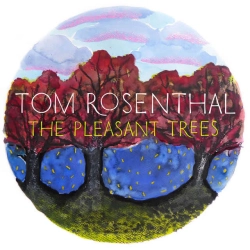 Cover art for It's Ok, Tom Rosenthal