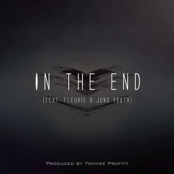 Обложка In The End