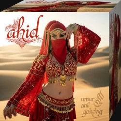 Cover art for Ahid (no time to carry on), Umur Anil Gokdag