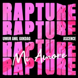 Cover art for Rapture (Mi Amore), Umur Anil Gokdag & Ascence