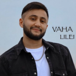 Обкладинка пісні Лілеї, VAHA