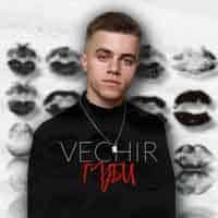 Обложка песни губи, VECHIR