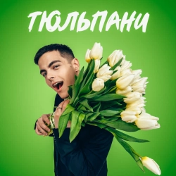 Обкладинка пісні Тюльпани, Volkanov