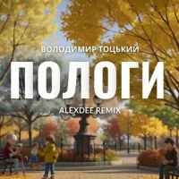 Обкладинка пісні Пологи (Alex Dee remix), Володимир Тоцький
