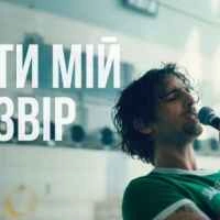 Обложка песни Ти мій звір (Live session), Volodymyr Dantes