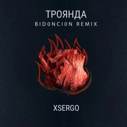 Cover art for Троянда - BID0NCI0N Remix, XSERGO,BID0NCI0N