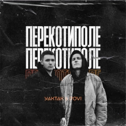 Обложка песни Перекотиполе, YAKTAK & DOVI