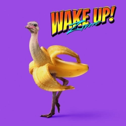 Обложка WAKE UP!